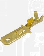 Narva 56220 Blade Male Terminal Non-insulated Brass with Locking Tab 6.3 x 0.8 dia (Pack of 100)